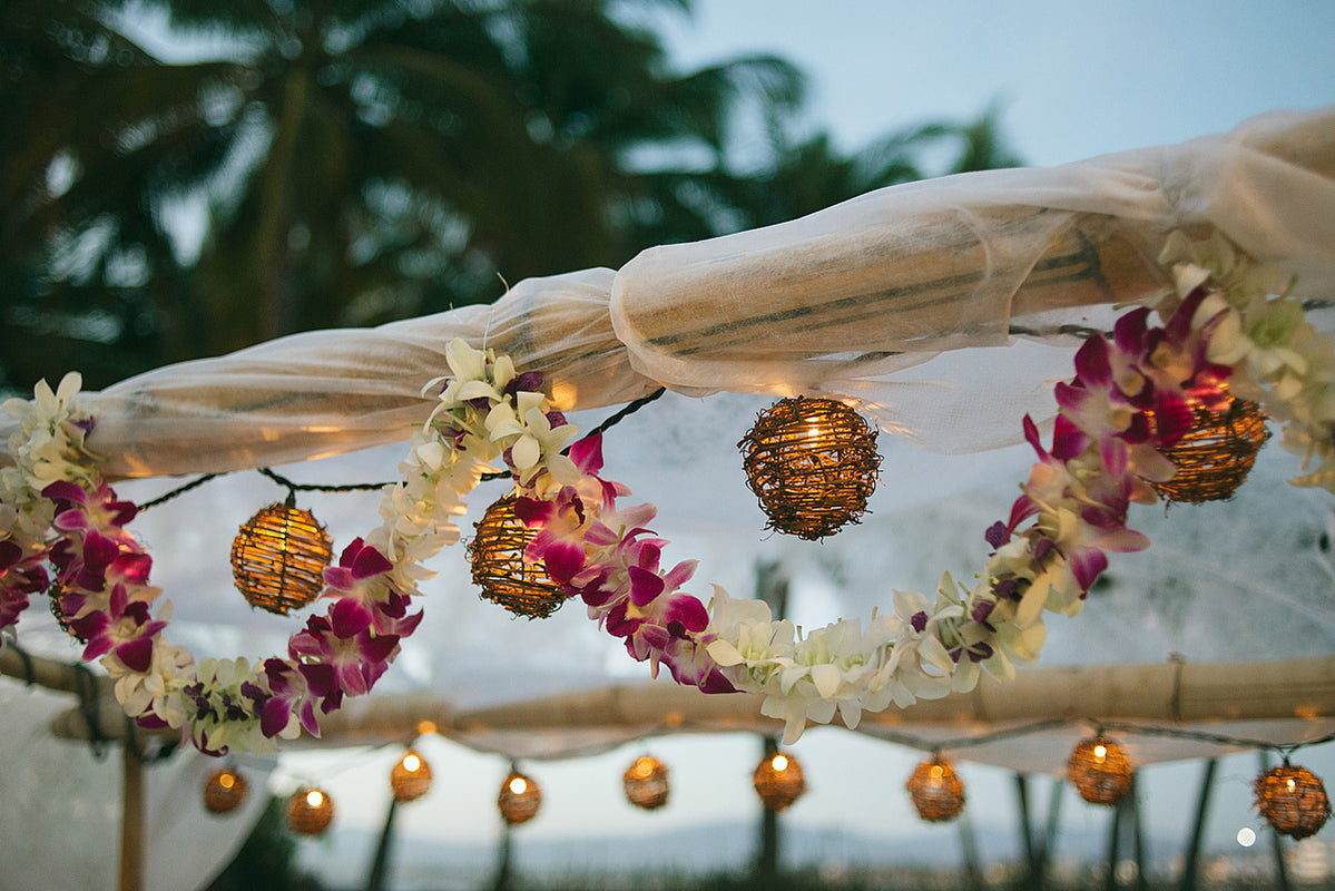 Orquídeas para tus eventos