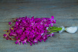 10 tallos de orquidea dendrobium Cherry