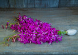 10 tallos de orquidea dendrobium Cherry