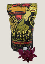 Café orgánico de Chiapas, calidad de exportación