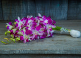 10 tallos de Orquídea dendrobium Sonia