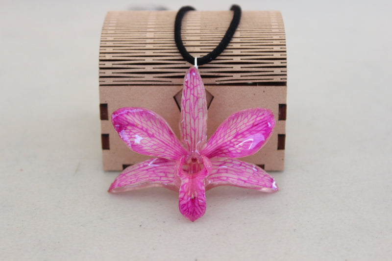 Orquídea Rosa, regala flores eternas
