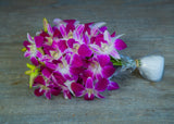 10 tallos de Orquídea dendrobium Sonia